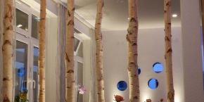 Karpfen am Illmensee - Restaurant - dekorativer Raumteiler aus Birkenstämmen